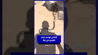 تفاقم معاناة للنازحين..  الأفاعي تهاجم خيام  اللجوء في غزة thumbnail