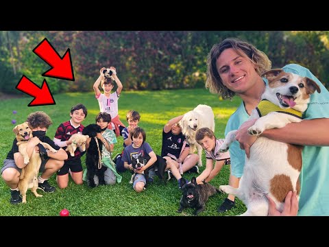 WE OPENED A DOG PARK AT HOME!