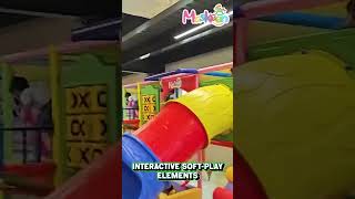 Kids Soft Play Climber with Double Slide and Roller Steps Manufacturer, Supplier in Imphal East