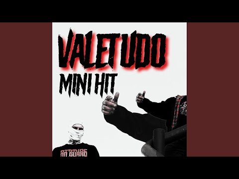 VALETUDO (Mini Hit)