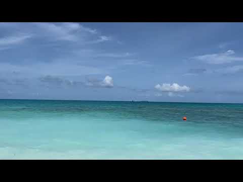 Sublime blue beaches ⛱️|| Maldives || Sound of nature || Calming sound of Sea #sea #maldives