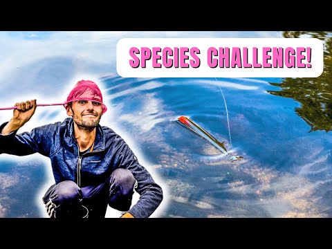 MICRO FISHING ON THE RIVER IS SO MUCH FUN!