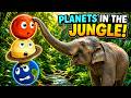 The Solar System Planets Visit A Jungle Learning About Space And Earth Geography