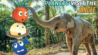 The Solar System Planets visit a Jungle! Learning about Space and Earth | Geography