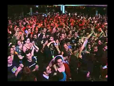 DVD Festa Ploc Completo