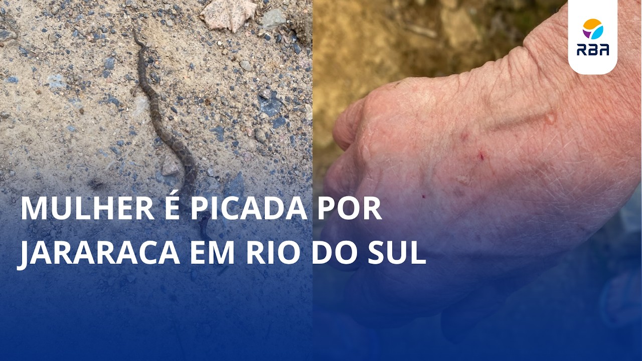 Mulher é picada por jararaca em Rio do Sul