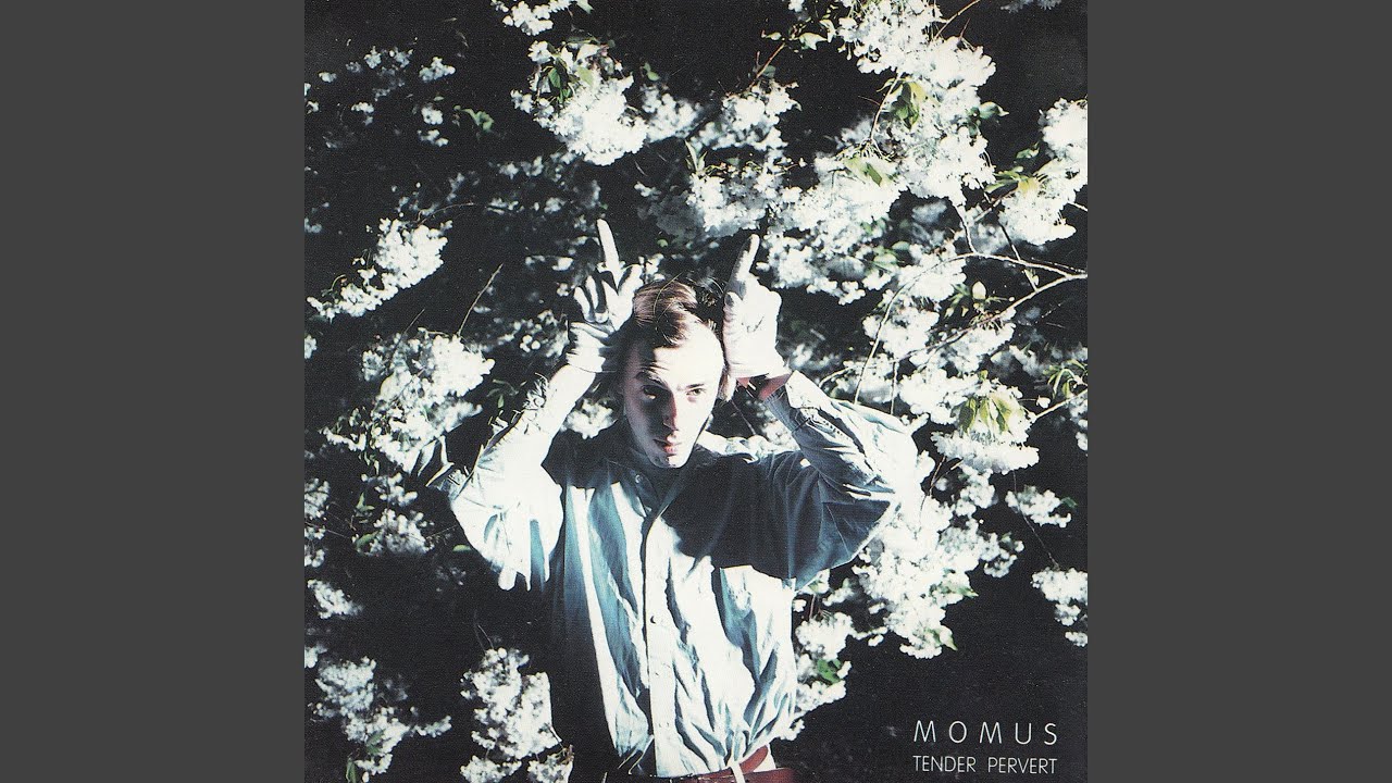 Momus - The Homosexual