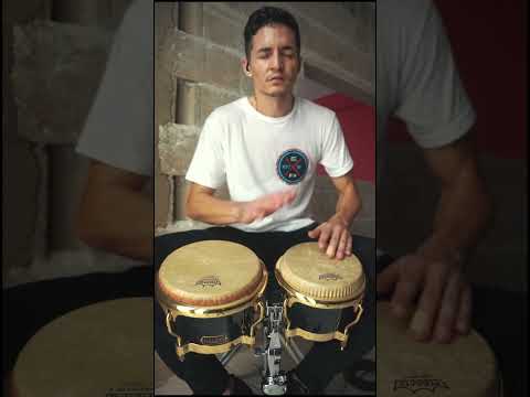 Daniel Diaz - Cumbanchero (Bongo)