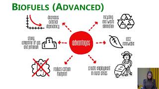 Biocombustíveis alternativos para um futuro mais sustentável (Parcial)