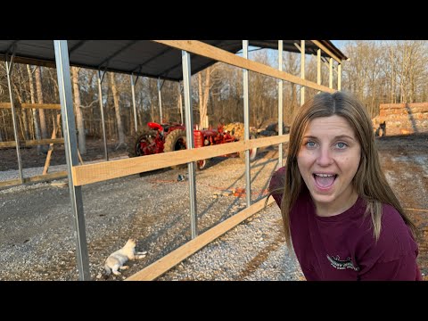 From Sawdust to Breakdown—Brittany Saved the Day!