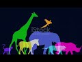 The Kids ABC S At The Zoo Real Animal Videos