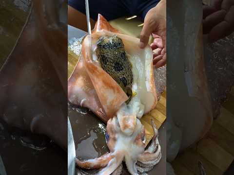 Gutting a Squid and Discovering a Porcupine Fish Inside! | Catch & Cook Seafood Surprise