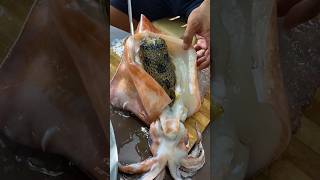 Gutting a Squid and Discovering a Porcupine Fish Inside! | Catch &amp; Cook Seafood Surprise