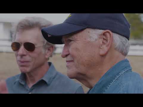 Brain Science in Cows