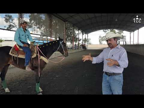 EL CAMINO AL FUTURITY VIP - Capítulo 10 (Parte 1)