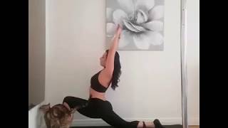 Cat Ruins Pole Dancing