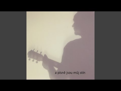 Noční motýl