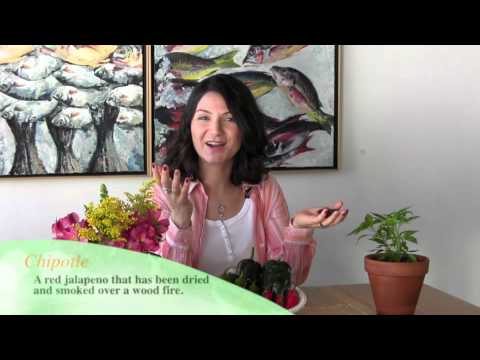 Chili 101: What is a Chili?