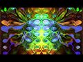 Ozric Tentacles - Toka Tola [Visualization]