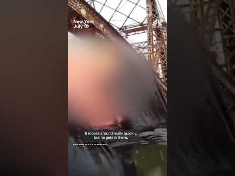 NYPD officer saves a woman from creek