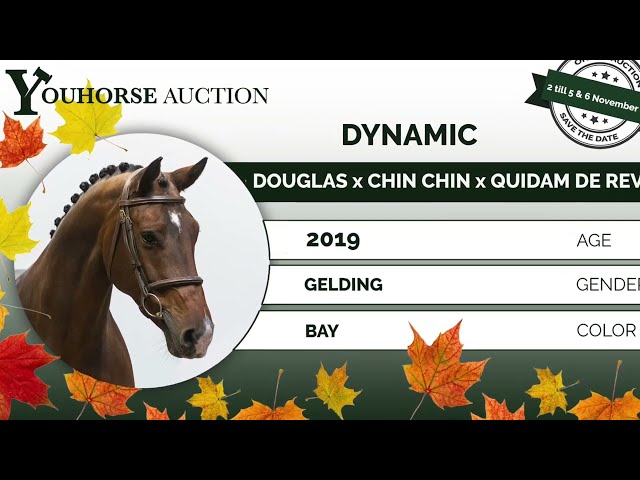 Dynamic showvideo indoor