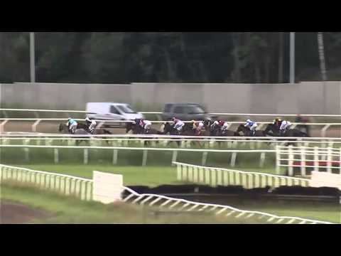 2015.07.07 Breeders' Trophy Stayer (SWE) - Stradivarius