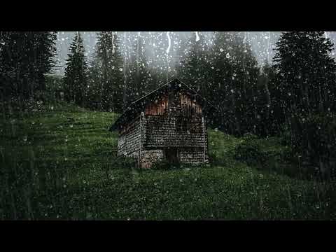 Sueño Instantáneo en 11 minutos 🌧 Sonido de Lluvia Relajante en Techo en Bosque Brumoso para Dormir