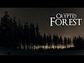 Cryptid Forest (Dark Ambient Hour)