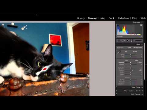 How to Run Lightroom in 64 Bit