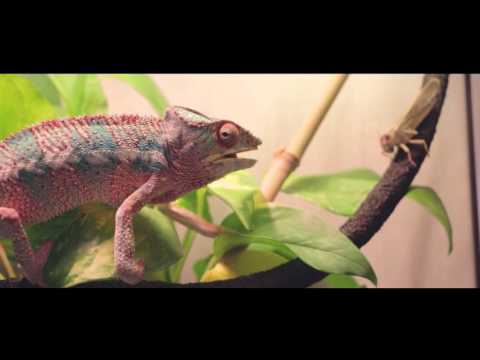 Kinto CincoMadres x GiroCruel - V.O.M.V.O.N