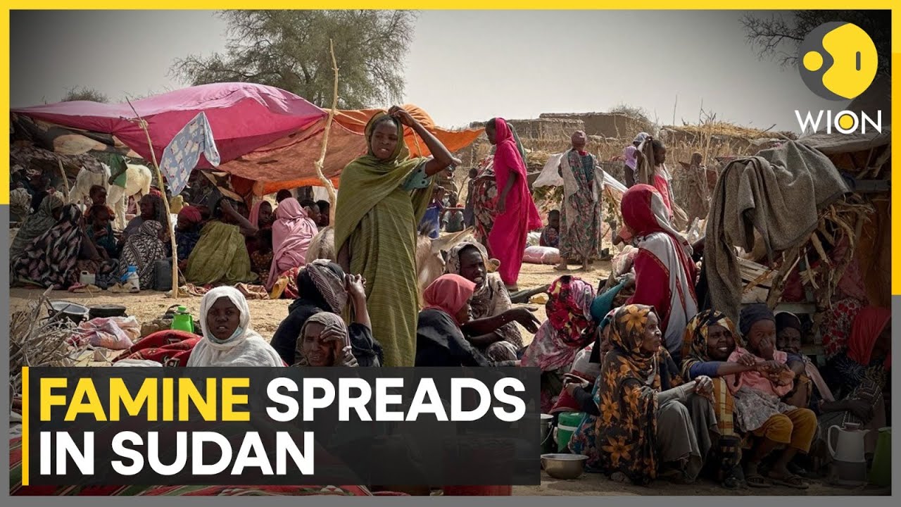 Sudan Famine: Famine Reaches El-Fasher & Kadugli, 20 More Areas at Risk | WION