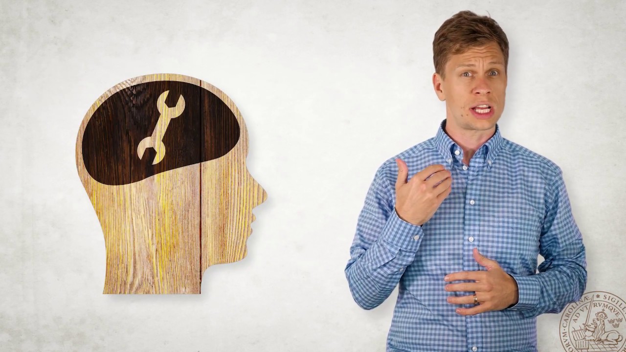 Two views on Human Error