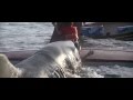 Jaws 2 Marge Bites It