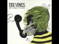 The Vines - Don't Listen To the Radio (Rare ...