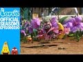 Official Cancan Larva Season 3 Episode 30