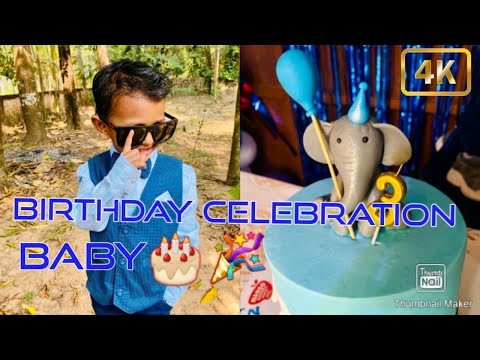 Baby 3rd birthday celebration | Blue theme | Elephant cake