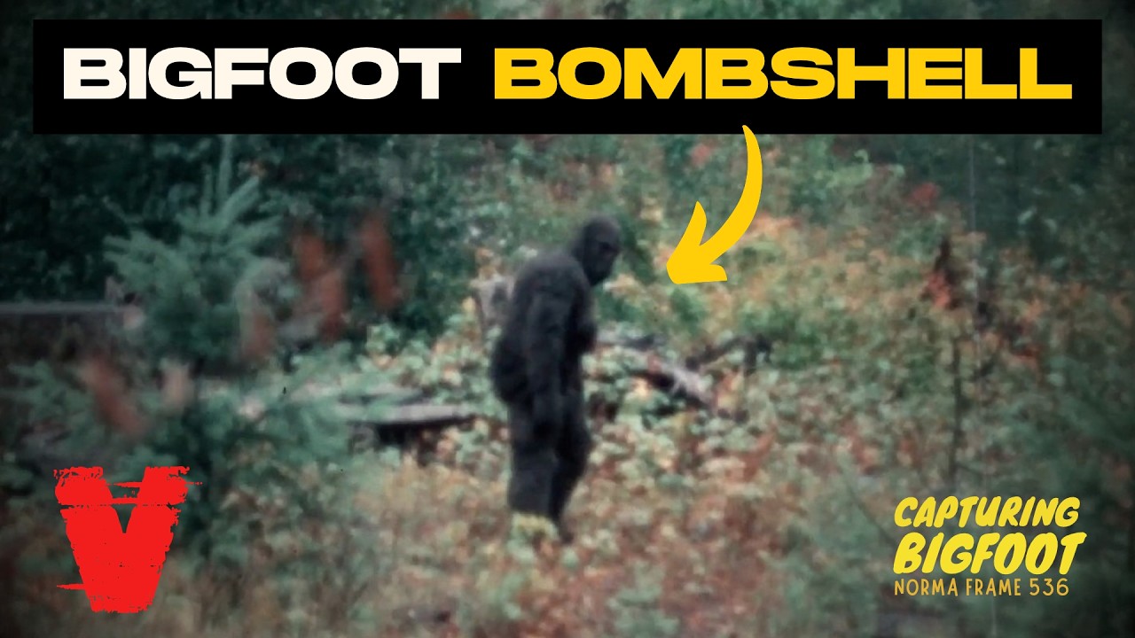 VETTED Breaks Down Capturing Bigfoot's Big Reveal