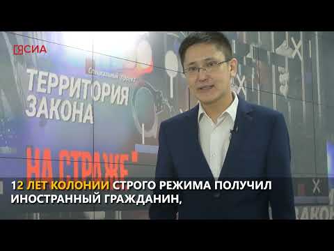 На страже. Дело депутатов, наркокурьер, блогер и нелегальный завод