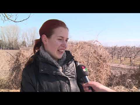 2019-02-27-Tárgyalnak a buszsofőrök fizetésemeléséről