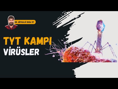Virüsler | Dr. Biyoloji | Dönem 2026 - 2027