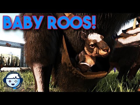 Baby Roos! | Solo Ark: Survival Evolved | No Fly Server | Gentleman's Ark S1:Ep09
