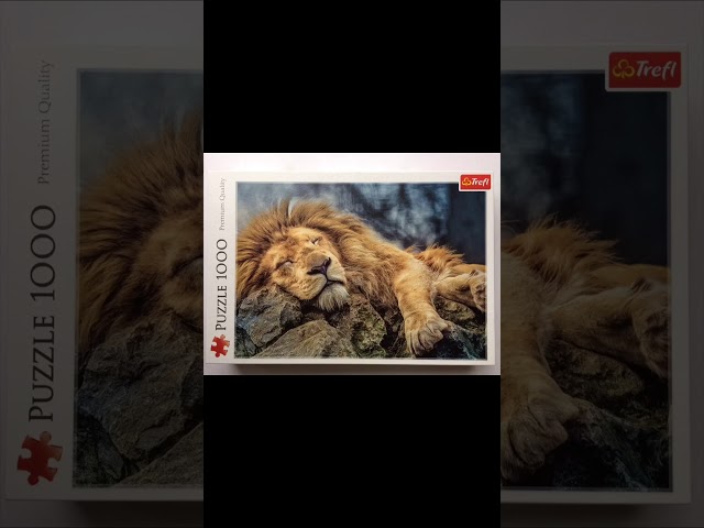 Vídeo relacionado con Tigre León Puzzle de 1000 Piezas Puzzle para Adultos Escena de Confrontación Relajante Decoración Regalo 70x50cm/1000pcs