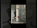 Skibidi Toilet Analog Horror Edit Skibiditoilet Edit Foryou Viralvideo Fypツ