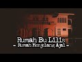 Bu Lilis S House DMS Investigation