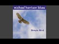 Michael Boogie (Revisited)