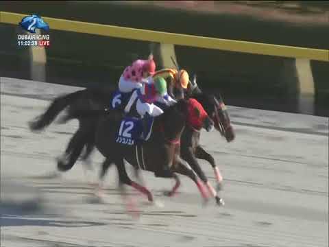 2018.02.18 February Stakes (JPN) - Nonkono Yume