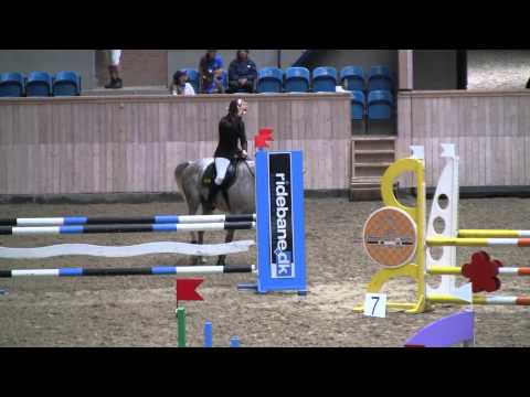 European championships arabian horses 2013 - Walor