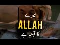 Mera ALLAH Ka Qabza Hai Maulana Tariq Jameel Whatsapp Status Tariq Jameel Status Bayan Status