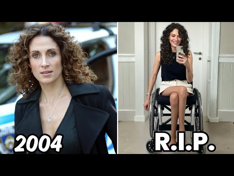 CSI: NY 2004 Cast Then & Now — 22 Years Later, Who’s Still Alive?