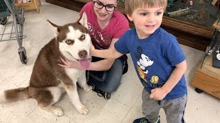 CLARK&#39;S FIRST TIME IN A PET STORE!